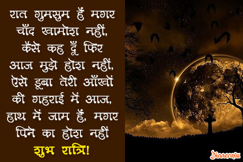 Dinneroxu good night quotes in hindi 01
