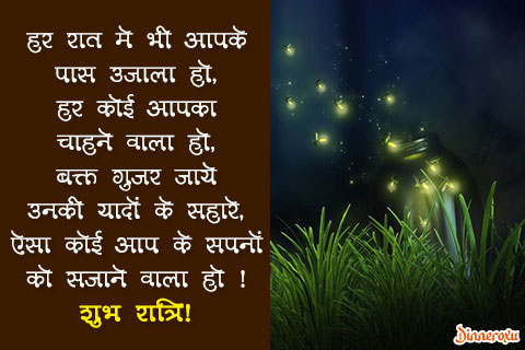 Dinneroxu good night quotes in hindi 07