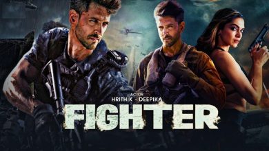 fighter hindi move 2023 DNX