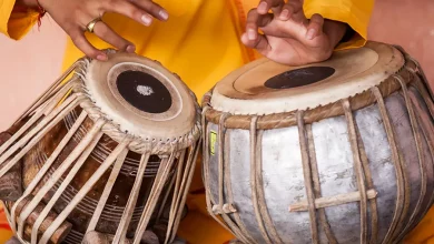 Musician plays a traditional Indian tabla DNX